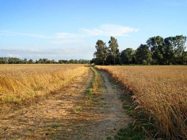 Pokoje Gościnne Maria