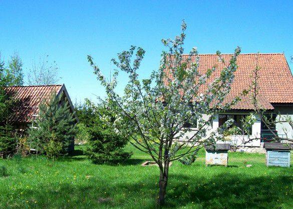 Gospodarstwo Agroturystyczne NadStawem