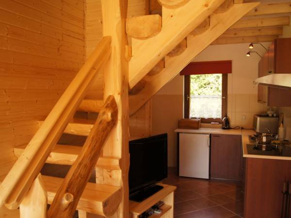 Górzanka / Niezapominajka