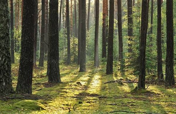 Termy Medical Warmia Park