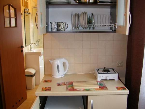 VIP6_Nowy Pokój VIP - aneks kuchenny; lodówka, kuc