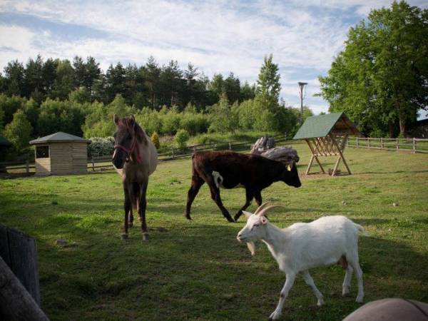 Domki Zielone Wzgórza 