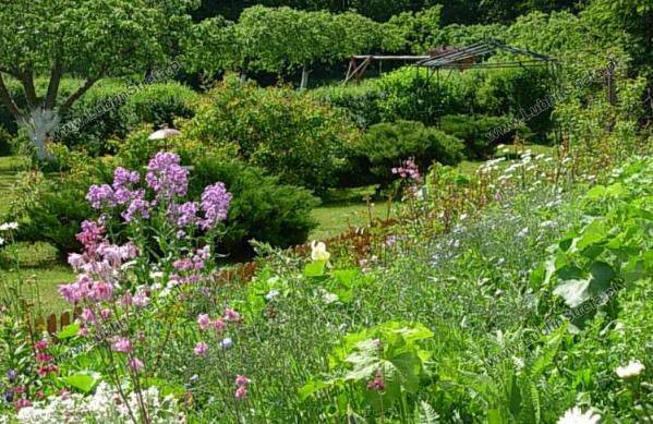 Agroturystyka Maria i Józef Salek