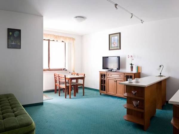 Salon z aneksem kuchennym