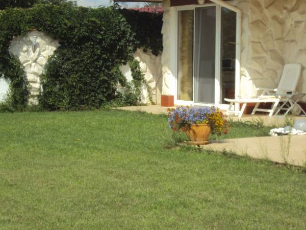 porosnięty bluszczem murek