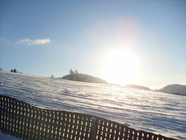 Dom Leśny Agroturystyka