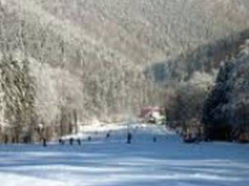 Apartamenty Bażancia Chatka