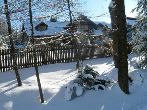 Biały słoneczny poranek