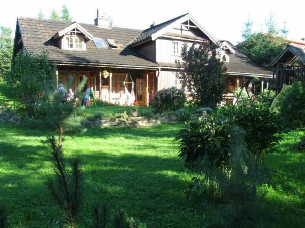 Zielony słoneczny poranek