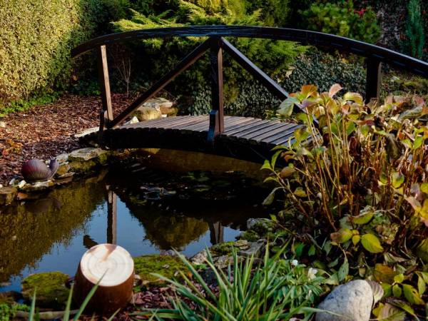 Willa PLATAN - ogród