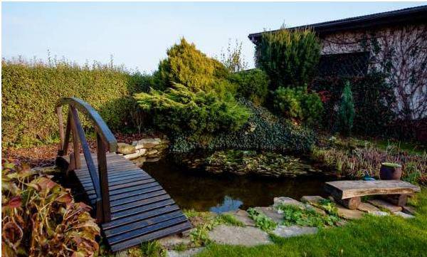 Agroturystyka Willa Platan