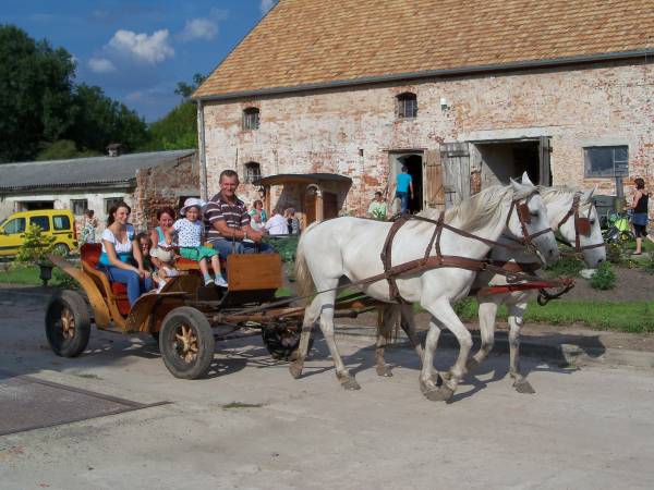 Kto koniki lubi to na bryczkę..