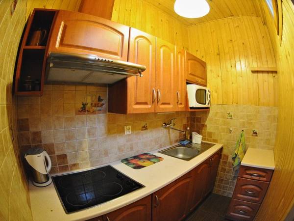 kuchnia w apartamencie