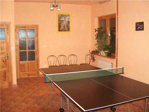 stół do ping- ponga