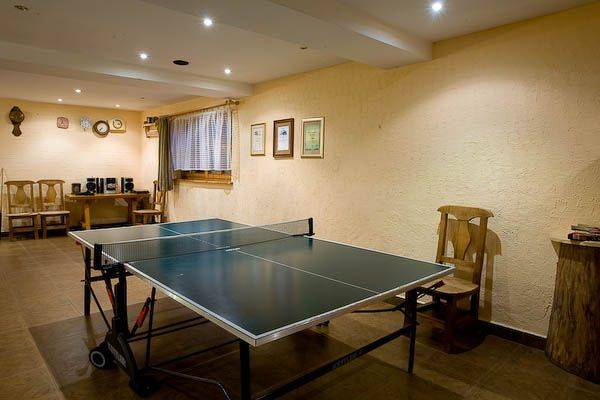 Stół do ping-ponga