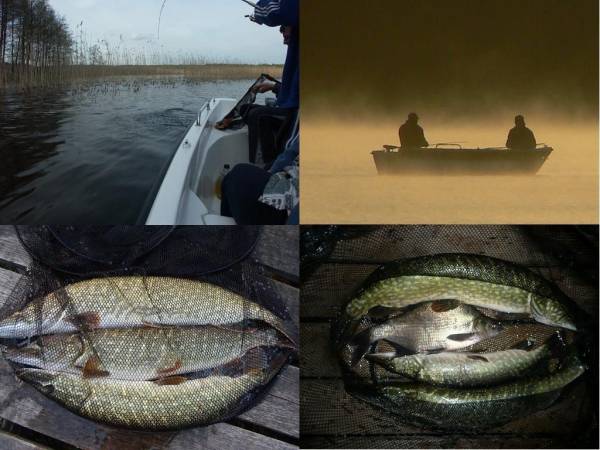 Domki letniskowe POMOST + ŁÓDKA + SILNIK GRATIS