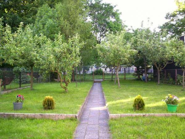 ogródek