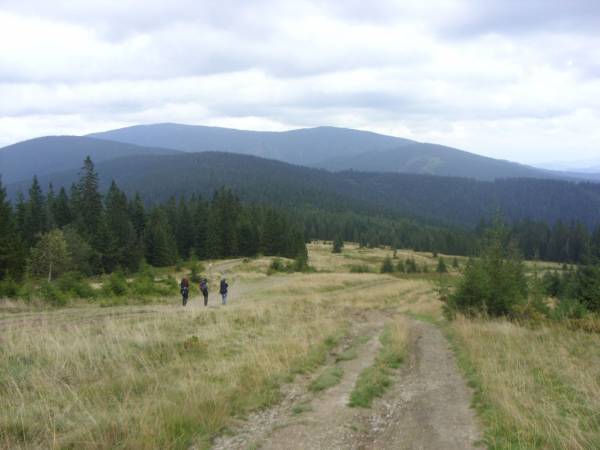 Domki Wypoczynkowe Romanówka