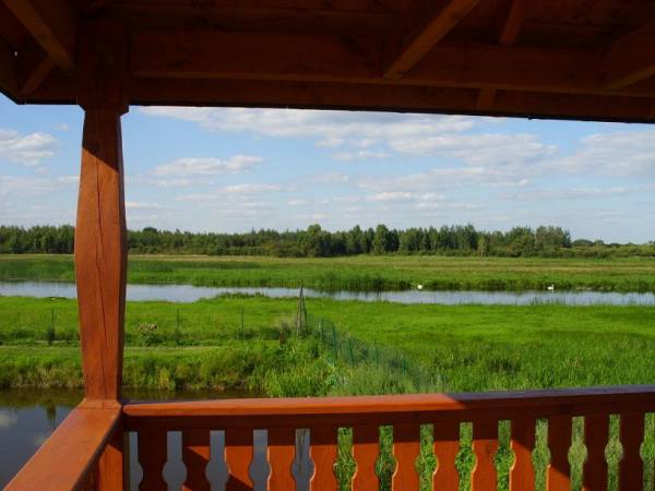 Agroturystyka Sośniaki