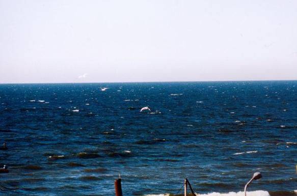 Pod Wydmą, pokoje gościnne, smażalnia ryb