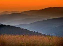 Pokoje gościnne - Gałuszka Józef