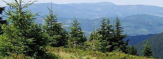 Frank Stanisław - pokoje gościnne