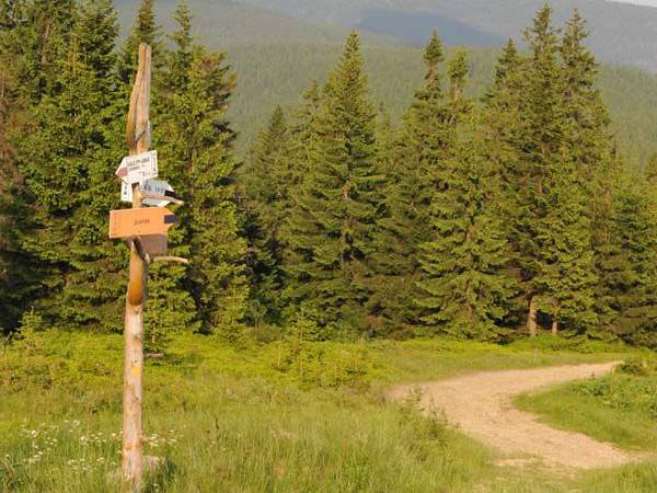 Domki Wypoczynkowe Romanówka