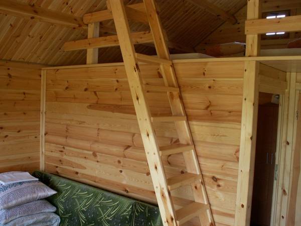 Domki Letniskowe Renata w Krynicy Morskiej