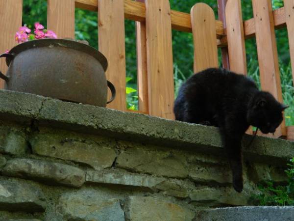 Pokoje Gościnne Barbara