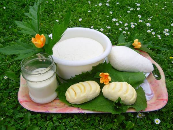 Agroturystyka Przy Źródełku 