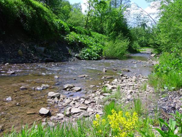 Agroturystyka Przy Źródełku 