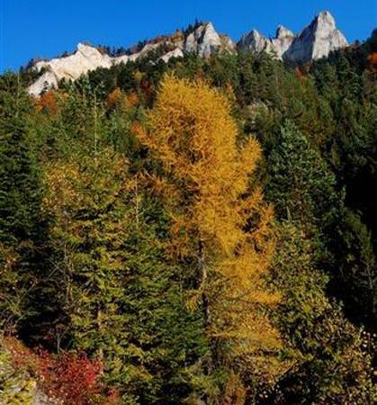 widok na Trzy Korony