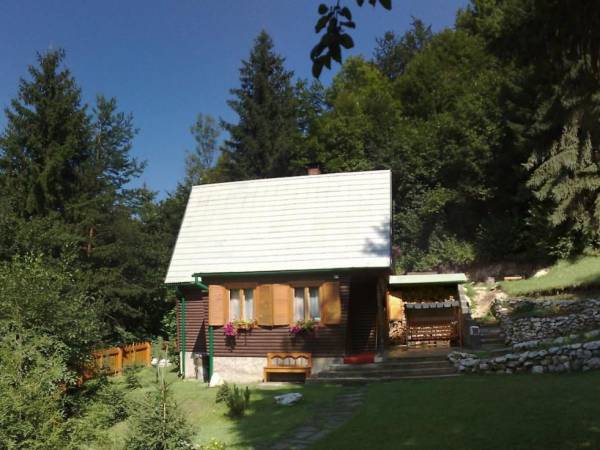 Chata SKALICA - Krivá