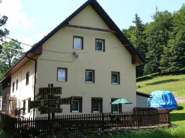 ARNIKA BUDYNEK GŁÓWNY