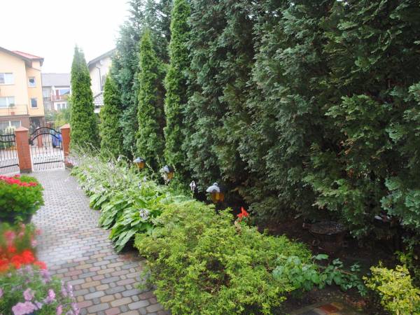 Pokoje i apartamenty Dom Gościnny Alina 