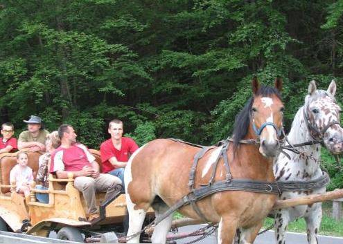 Agroturystyka Pod Lasem