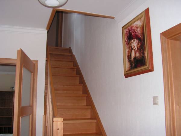 Arborator Paweł Kaźmierski