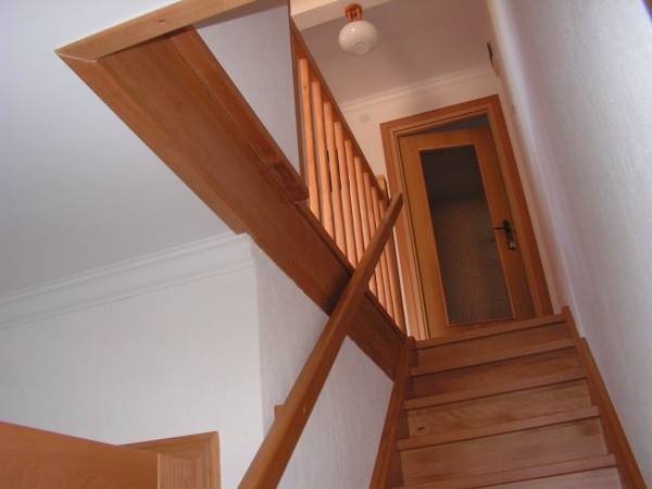 Arborator Paweł Kaźmierski