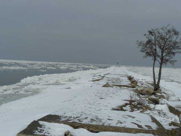 Ujście Wisły zimą
