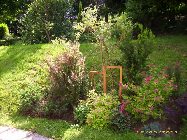 Alejki spacerowe przy Ośrodku.