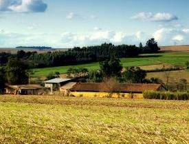 Naturalne Gospodarstwo Ogrodnicze