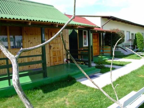 Agroturystyka Złote Brzozy