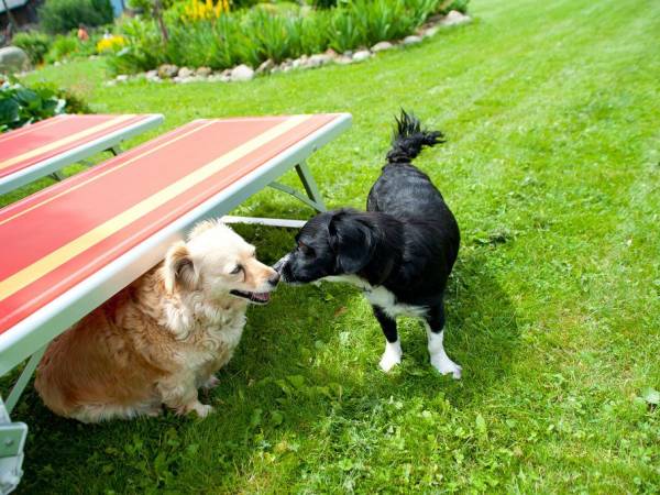 Agroturystyka Rajski Ogród