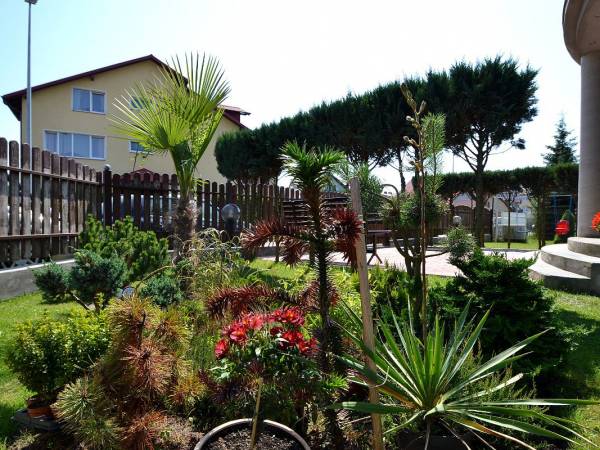 Apartamenty i pokoje Ara