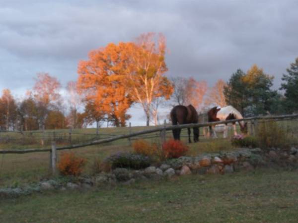 Nad Rozlewiskiem-preferujemy kontakt telefoniczny!