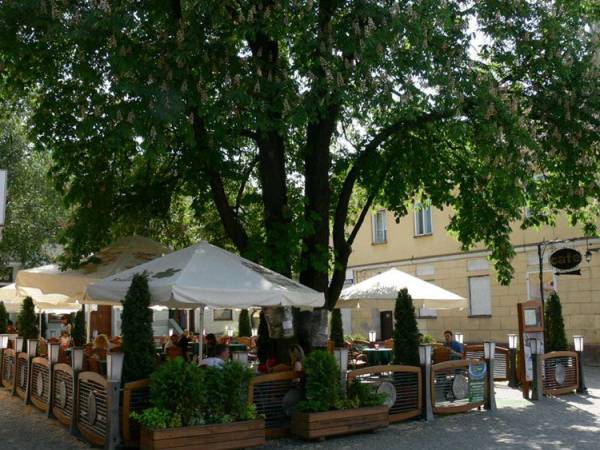 Restauracja Cafe Pod Kasztanami