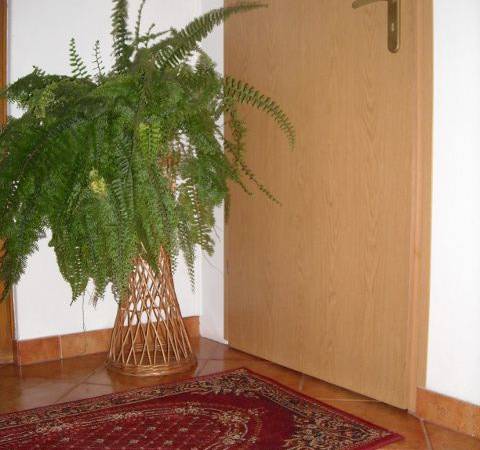 Pokoje z Widokiem na Góry - Pieniński Zakątek