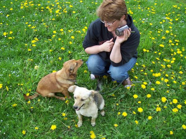 Domek i Agroturystyka U Janusza 