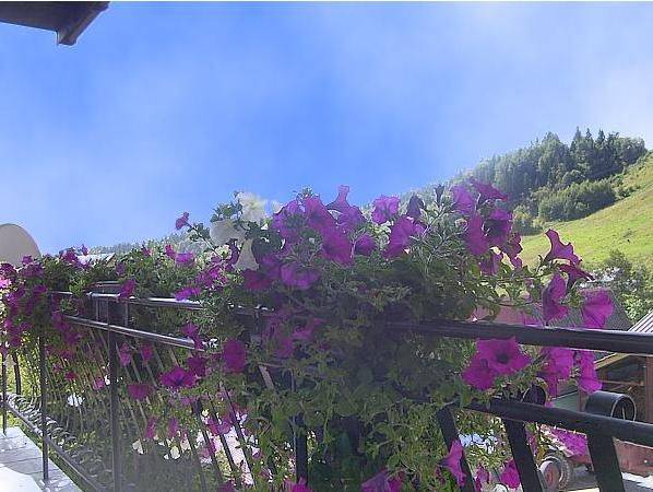 Pokoje gościnne Helena