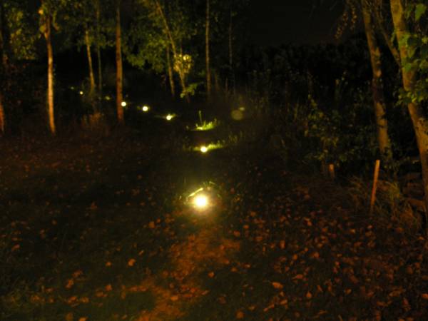 swiettlna droga z altany do toalety